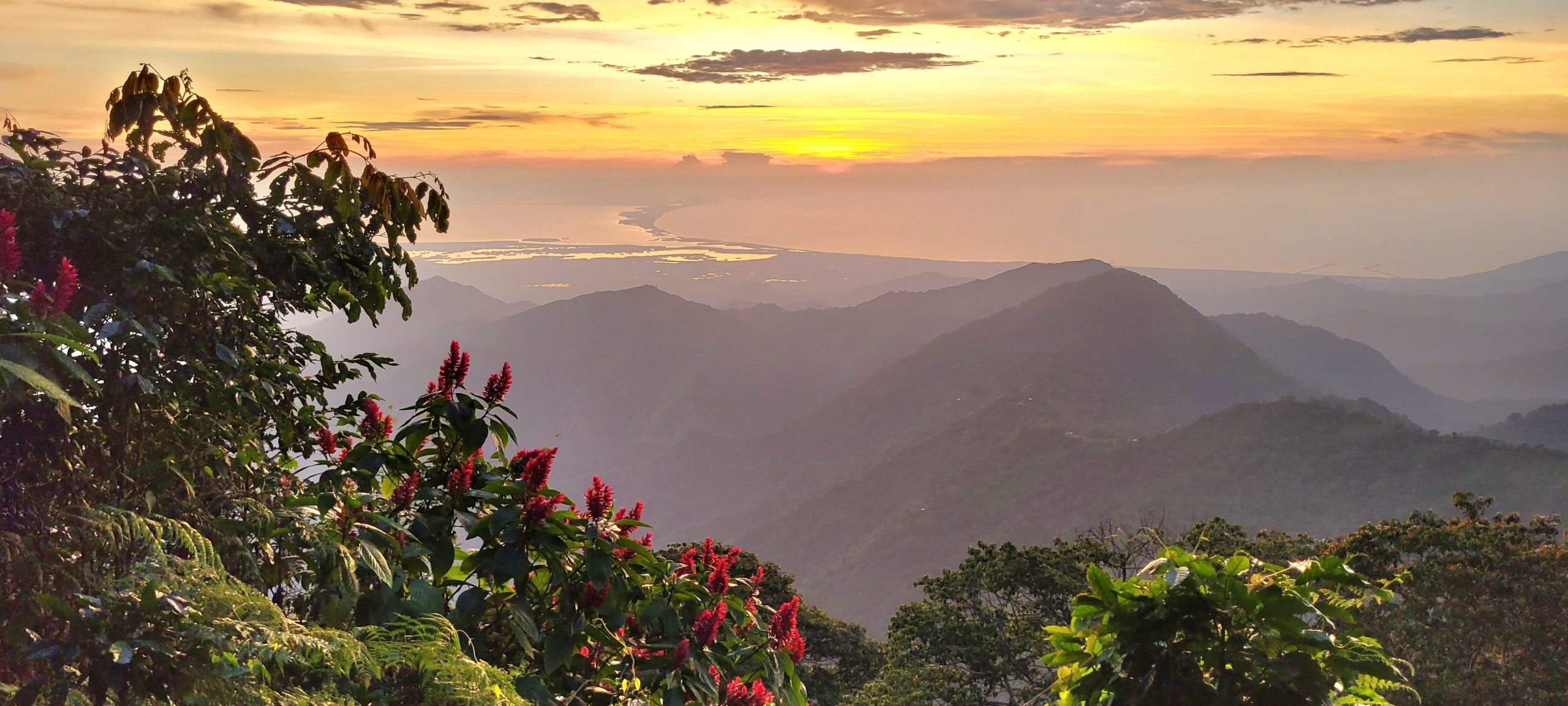 Travel Advice | Colombia