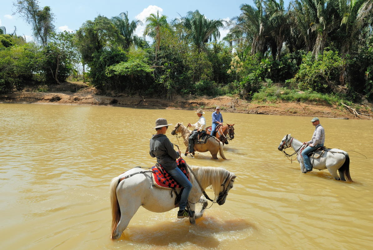 Diverse Colombia – Safari, Amazon and Andes