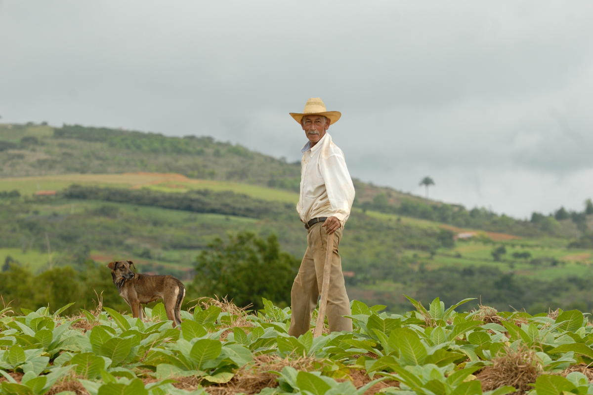 Tobacco Tradition | Barichara, Santander