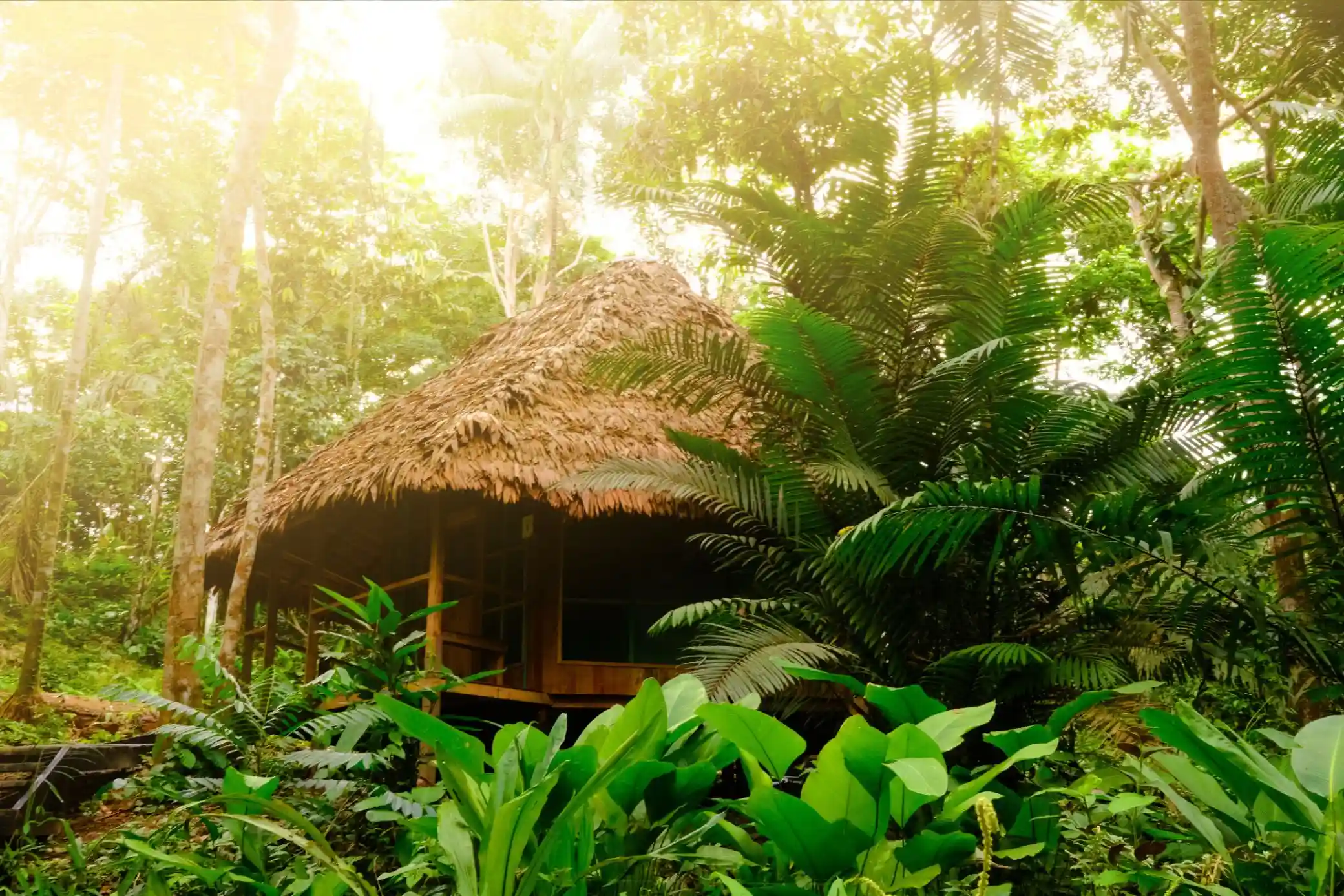 Chunaki Ecolodges