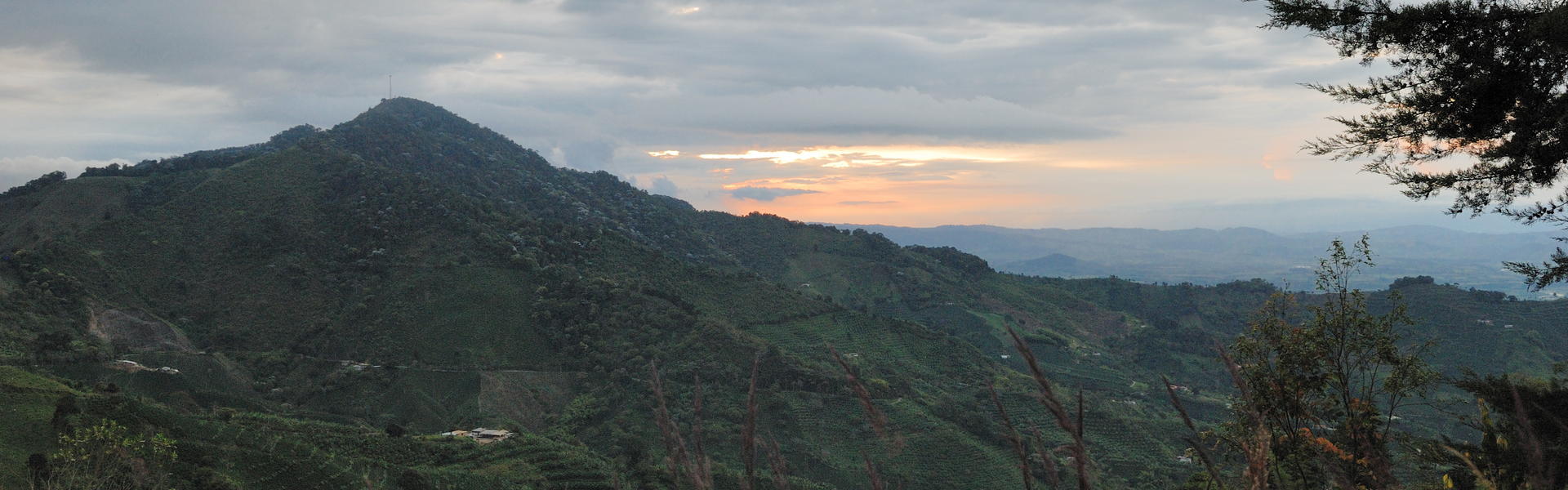 Manizales