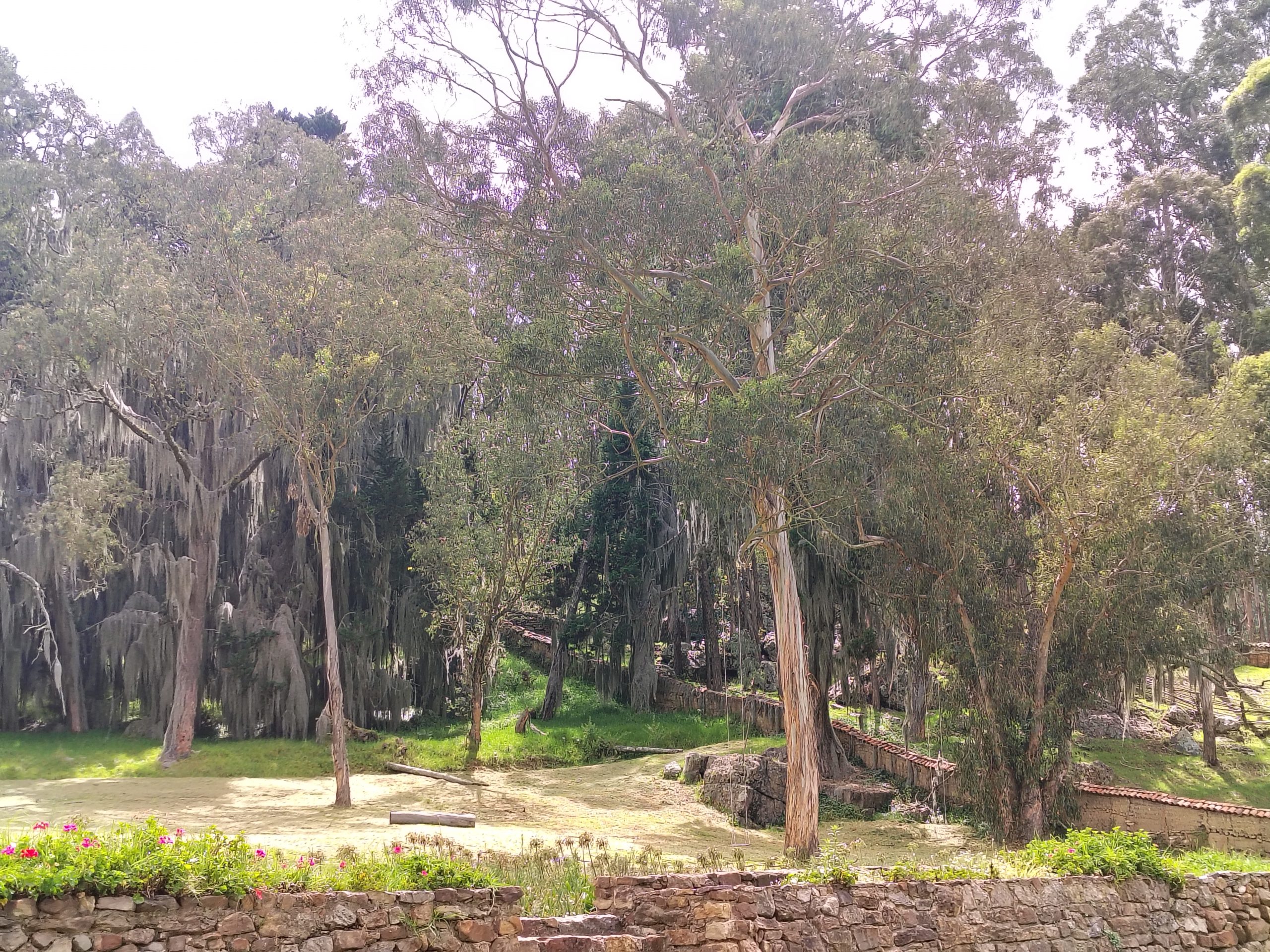 Tibasosa