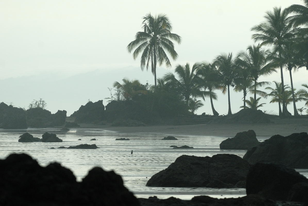 Pacific Coast and Medellín