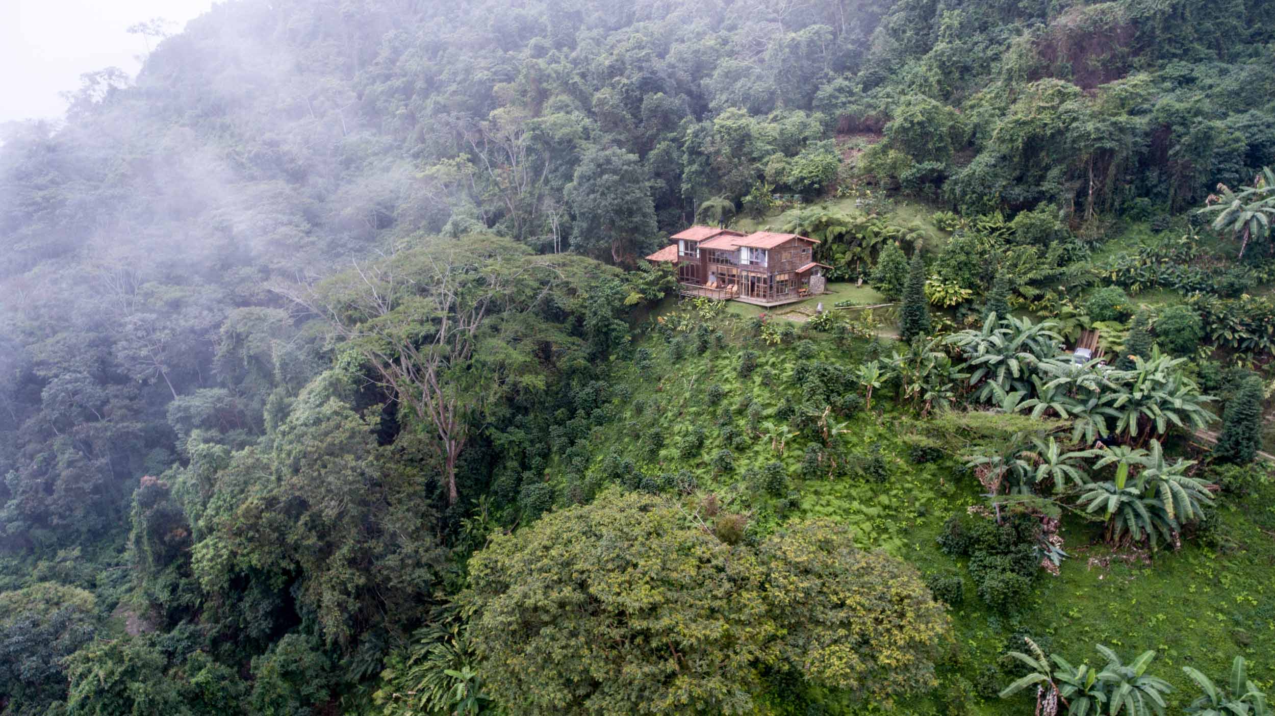 Casa Oropéndola