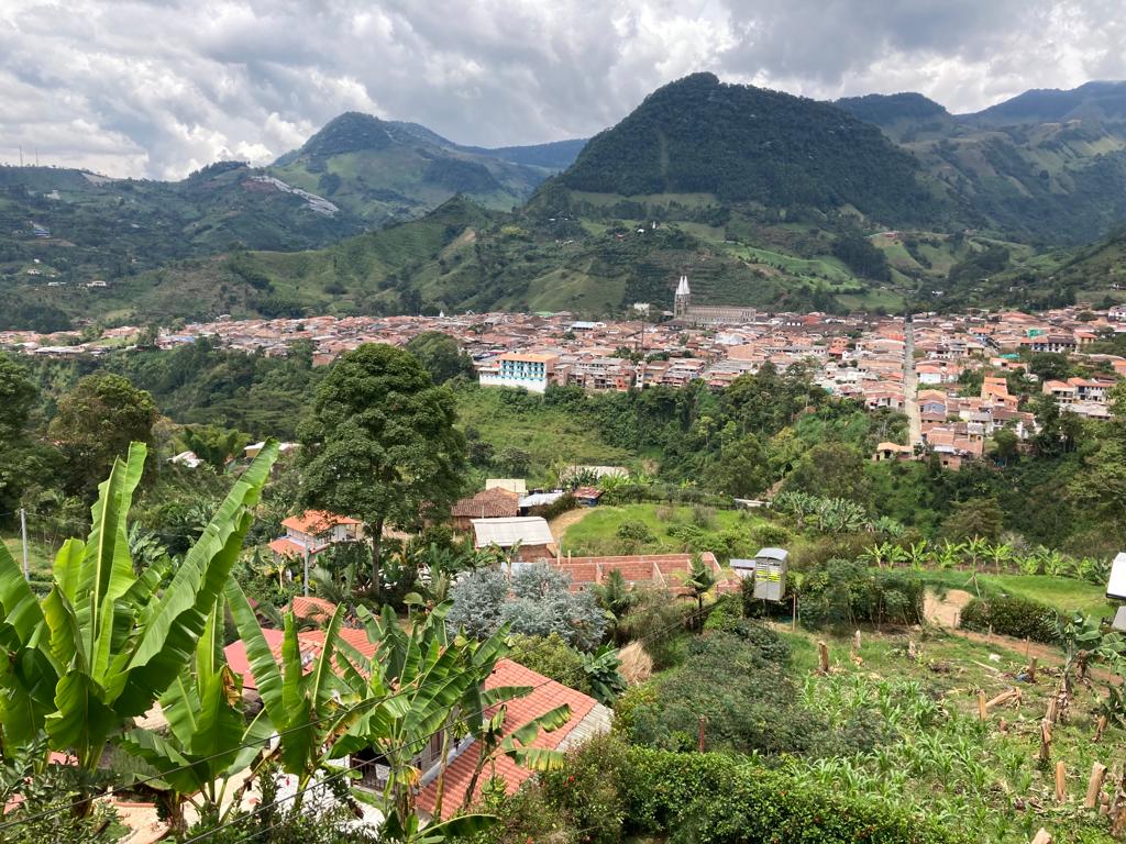 Overview of Jardín