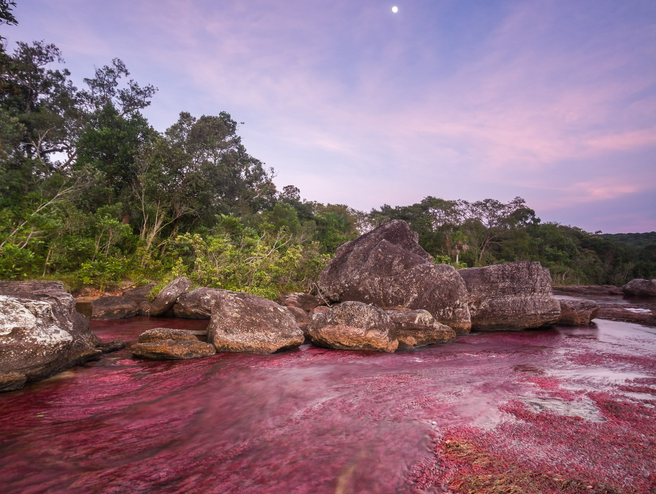 4 Days | Caño Cristales