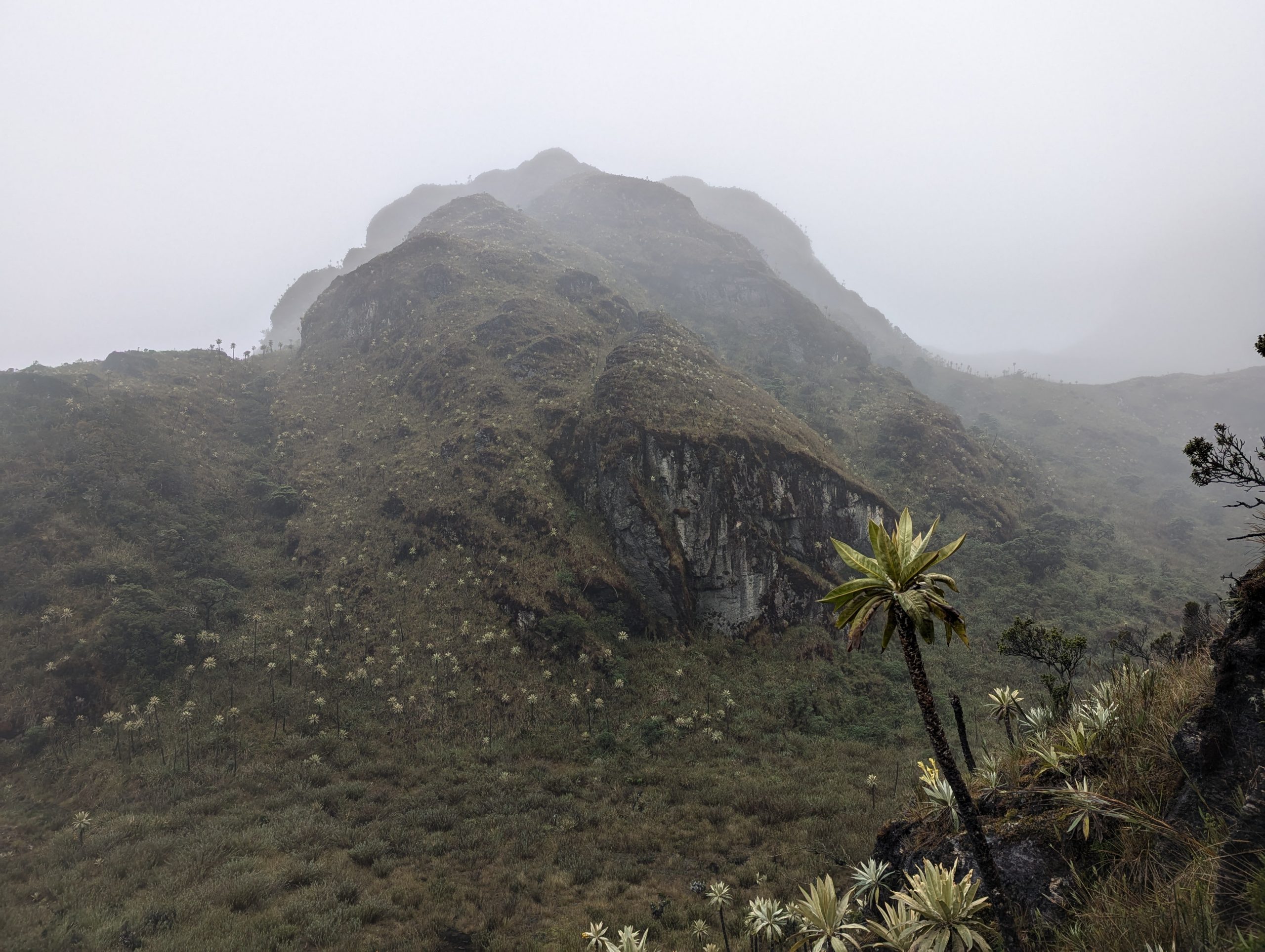 5 Days | Trekking from the Paramo to the Llanos