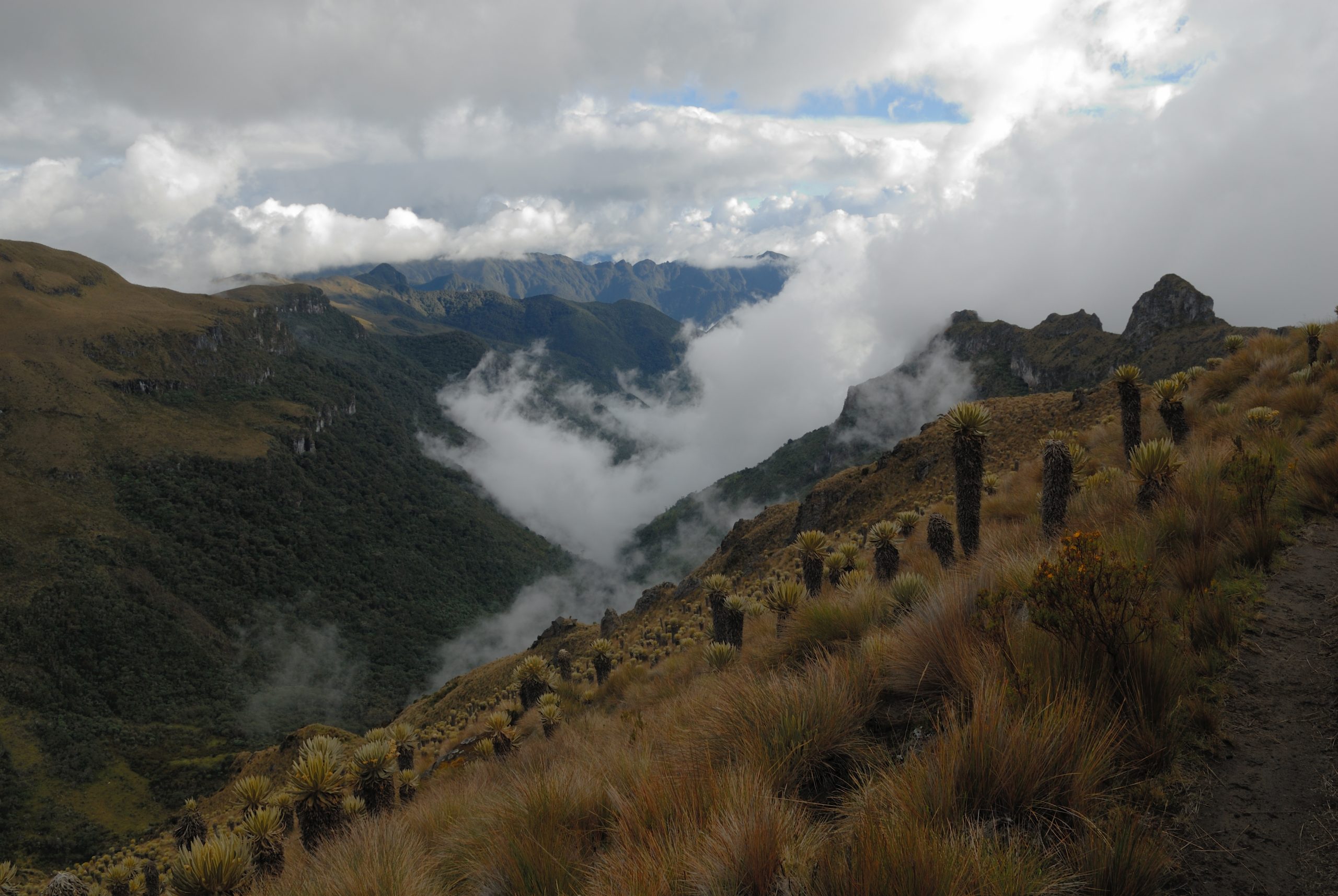 Finca La Argentina