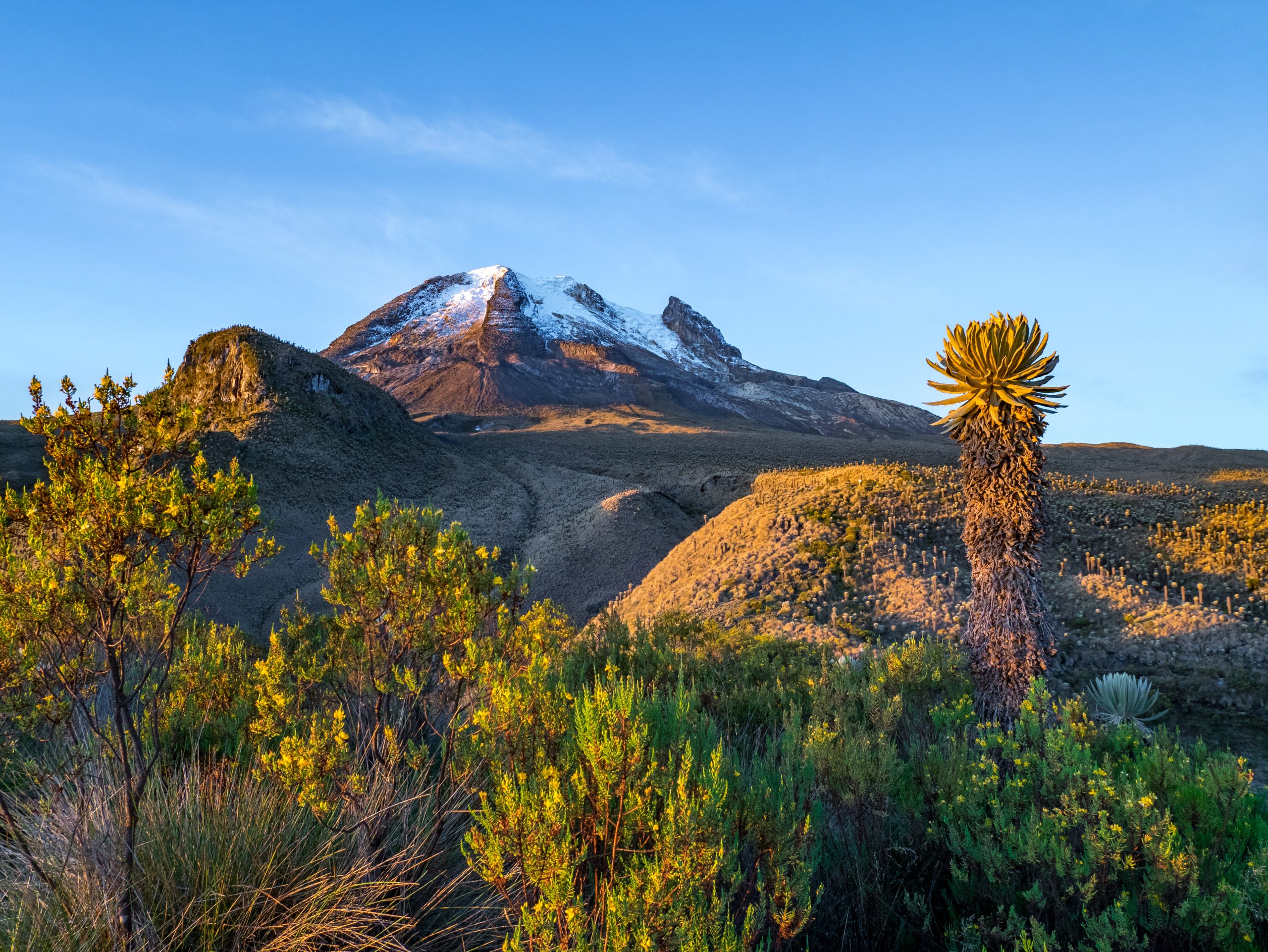 Nevados National Natural Park