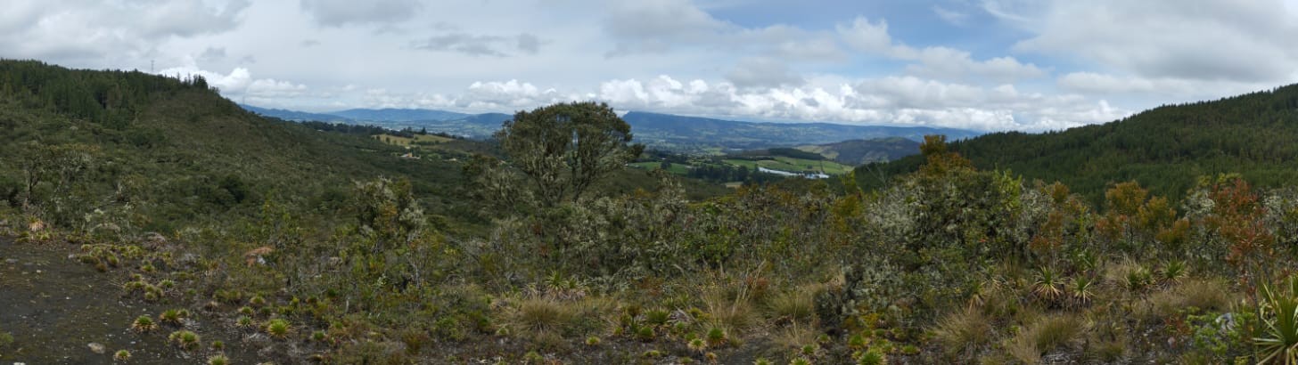 Guasca