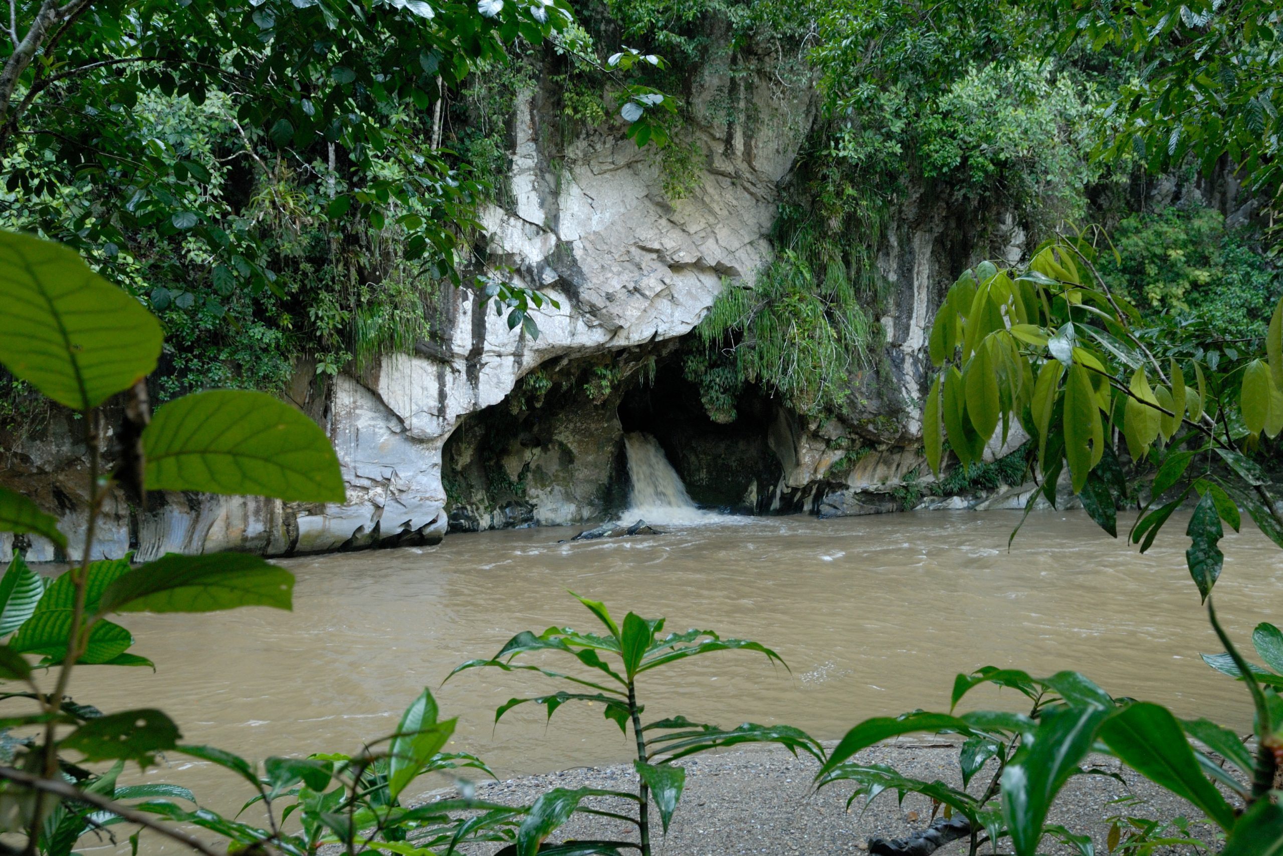Reserva Natural Cañon Del Río Claro